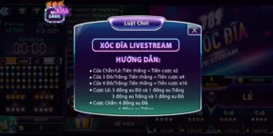 Một số hướng dẫn rất cơ bản cách chơi xóc đĩa online